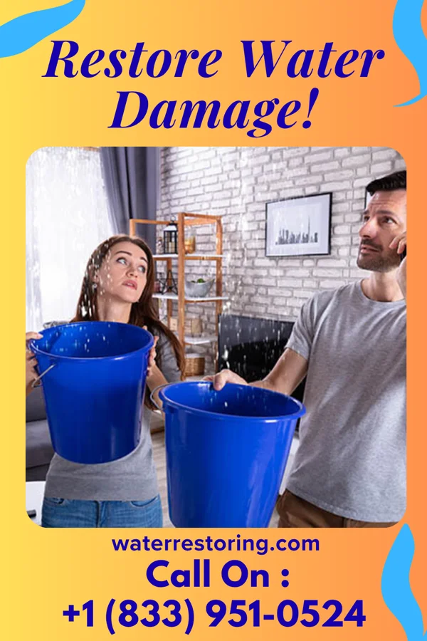 water restoration Ideal Drying Experts Hatfield