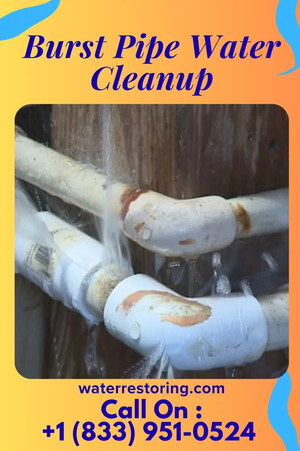 Burst Pipe Water Cleanup in Hatfield, MN