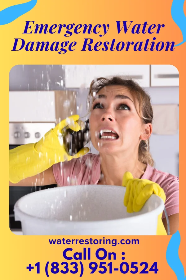 Emergency Water Damage Restoration in Hatfield, MN