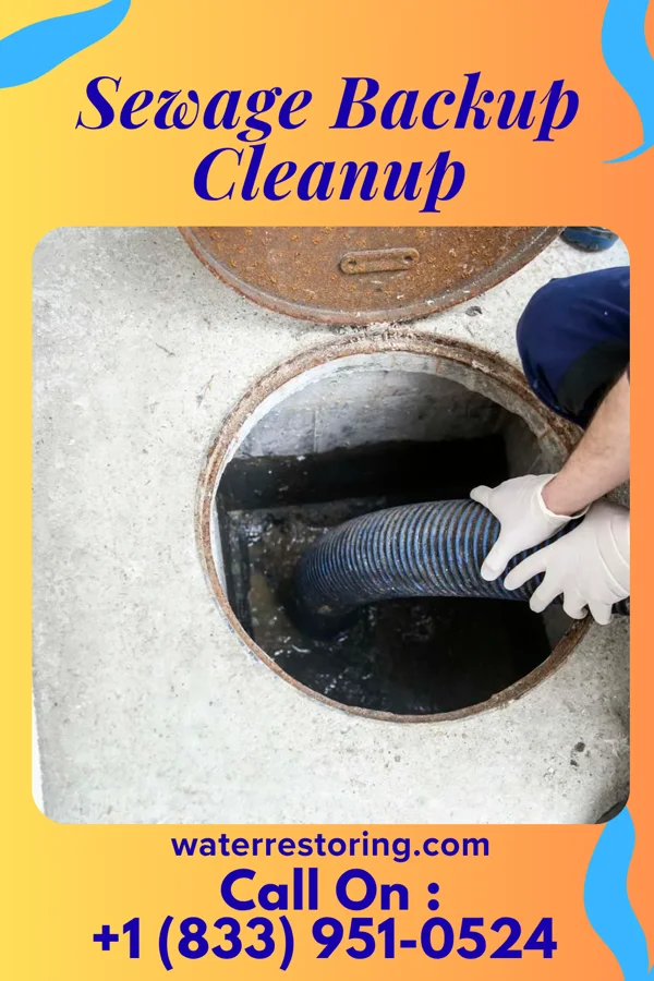 Sewage Backup Cleanup in Hatfield, MN