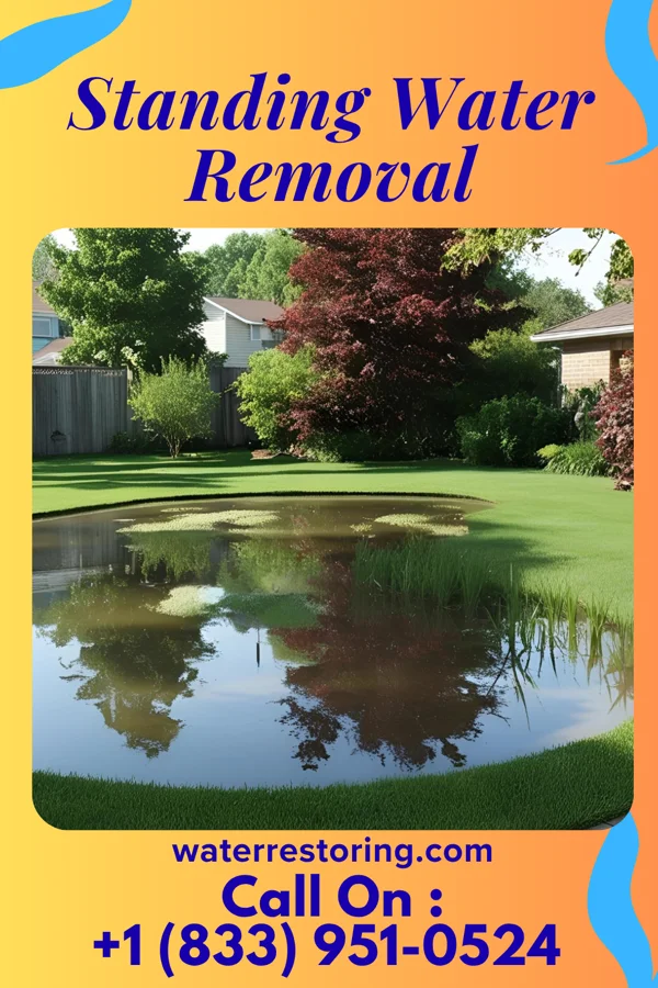 Standing Water Removal in Hatfield, MN